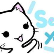 ヒメ日記 2025/06/28 16:34 投稿 まい 熟女の風俗最終章 仙台店