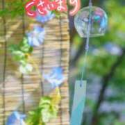 ヒメ日記 2025/07/06 06:36 投稿 まい 熟女の風俗最終章 仙台店