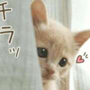 ヒメ日記 2025/07/20 06:34 投稿 まい 熟女の風俗最終章 仙台店