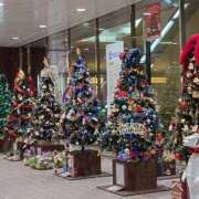 あきら 昨日は風ヤバかったね… 成田人妻花壇