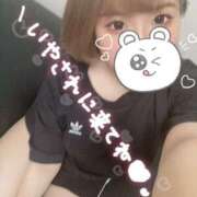 ヒメ日記 2025/03/08 17:14 投稿 あおい ラブライフ越谷