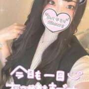 ヒメ日記 2024/12/17 17:16 投稿 あおい ラブライフ所沢川越