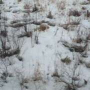 ヒメ日記 2025/01/24 11:49 投稿 しま 奥様鉄道69 岡山店