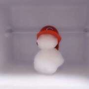 ヒメ日記 2025/02/23 15:46 投稿 しま 奥様鉄道69 岡山店