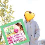 ヒメ日記 2025/02/24 11:21 投稿 しま 奥様鉄道69 岡山店