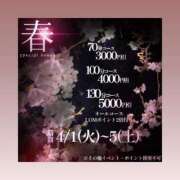 ヒメ日記 2025/04/01 11:49 投稿 しま 奥様鉄道69 岡山店