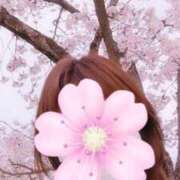 ヒメ日記 2025/04/06 01:39 投稿 しま 奥様鉄道69 岡山店