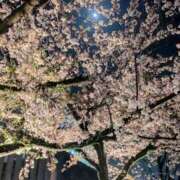 ヒメ日記 2025/04/11 00:24 投稿 しま 奥様鉄道69 岡山店