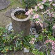 ヒメ日記 2025/04/12 13:35 投稿 しま 奥様鉄道69 岡山店