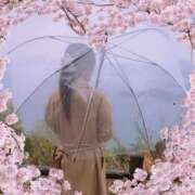 ヒメ日記 2025/04/14 19:39 投稿 しま 奥様鉄道69 岡山店