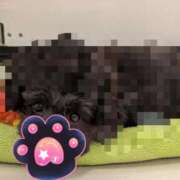 ヒメ日記 2025/04/24 00:19 投稿 しま 奥様鉄道69 岡山店