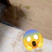 ヒメ日記 2025/09/05 23:59 投稿 しま 奥様鉄道69 岡山店