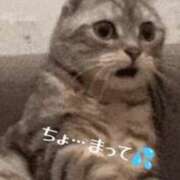 ヒメ日記 2025/10/31 15:29 投稿 しま 奥様鉄道69 岡山店