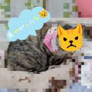 ヒメ日記 2025/12/07 17:19 投稿 しま 奥様鉄道69 岡山店