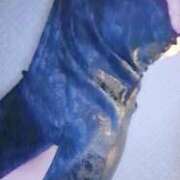 ヒメ日記 2025/12/26 23:59 投稿 しま 奥様鉄道69 岡山店