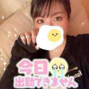 ヒメ日記 2025/03/31 18:24 投稿 そら SKB48