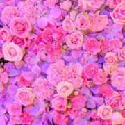 ヒメ日記 2025/04/23 21:44 投稿 さほ DOLCE