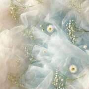 ヒメ日記 2025/08/12 16:04 投稿 さほ DOLCE