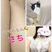 ヒメ日記 2025/08/08 10:10 投稿 さ　ち ママれもん葛西店