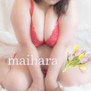 ヒメ日記 2025/03/09 16:47 投稿 舞原希美 五十路マダム エクスプレス京都店