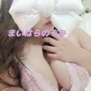 ヒメ日記 2025/04/26 13:09 投稿 舞原希美 五十路マダム エクスプレス京都店