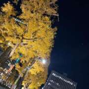 ヒメ日記 2024/12/14 16:27 投稿 うさぎ エデンR