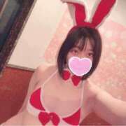 ヒメ日記 2024/12/15 02:07 投稿 うさぎ エデンR