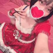 ヒメ日記 2024/12/22 11:57 投稿 うさぎ エデンR