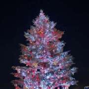 ヒメ日記 2024/12/23 22:37 投稿 うさぎ エデンR