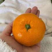 ヒメ日記 2024/12/25 08:37 投稿 うさぎ エデンR