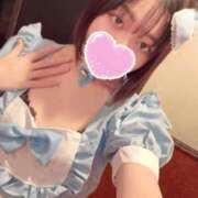 ヒメ日記 2025/02/05 11:01 投稿 うさぎ エデンR