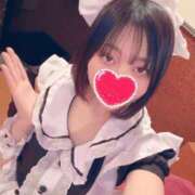 ヒメ日記 2025/02/06 17:17 投稿 うさぎ エデンR