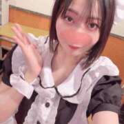 ヒメ日記 2025/02/12 00:35 投稿 うさぎ エデンR