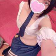 ヒメ日記 2025/03/14 13:27 投稿 うさぎ エデンR