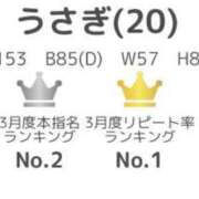 ヒメ日記 2025/04/02 20:27 投稿 うさぎ エデンR