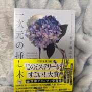 ヒメ日記 2026/02/20 23:09 投稿 うさぎ エデンR