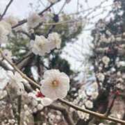 ヒメ日記 2026/02/21 15:19 投稿 うさぎ エデンR