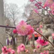 ヒメ日記 2026/03/11 20:39 投稿 うさぎ エデンR