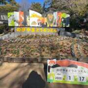 ヒメ日記 2025/01/20 15:36 投稿 ゆうな 多恋人