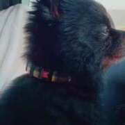 ヒメ日記 2025/04/30 21:16 投稿 ゆうな 多恋人