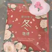 ヒメ日記 2025/02/10 16:50 投稿 かおるこ 品川ミセスアロマ（ユメオト）