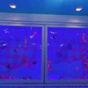 ヒメ日記 2025/03/29 20:08 投稿 かおるこ 品川ミセスアロマ（ユメオト）