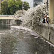ヒメ日記 2025/04/10 20:00 投稿 かおるこ 品川ミセスアロマ（ユメオト）