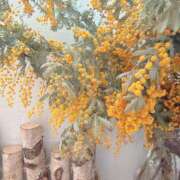 ヒメ日記 2026/03/21 16:00 投稿 かおるこ 品川ミセスアロマ（ユメオト）