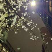 ヒメ日記 2026/04/03 21:56 投稿 かおるこ 品川ミセスアロマ（ユメオト）