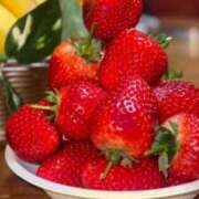 ヒメ日記 2026/01/24 18:13 投稿 ゆうき SOPHIA（ソフィア）