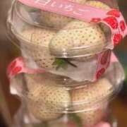 ヒメ日記 2026/01/27 19:13 投稿 ゆうき SOPHIA（ソフィア）