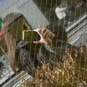 ヒメ日記 2025/03/18 09:15 投稿 はる 横浜風俗 横浜いきなりビンビン伝説