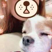 ヒメ日記 2025/08/01 21:21 投稿 はる 横浜風俗 横浜いきなりビンビン伝説