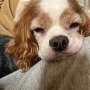 はる 帰ったら...(T^T) 横浜風俗 横浜いきなりビンビン伝説